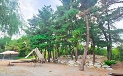 Donghae Beautiful Ocean Views Camp