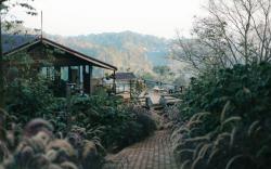 Ma Family Coffee Farm