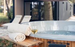 Luxe Boslodge Wellness Hellendoorn - Trix 53