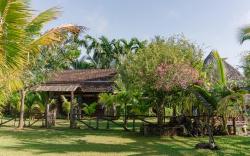 Xom Sinh Homestay & Farmstay Buon Ma Thuot Dak Lak