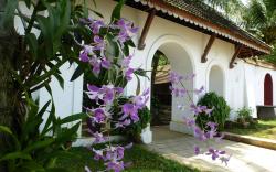 Fort House