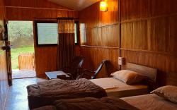 Stay in woods (guest rooms)