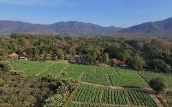 The Oriental Village Resort