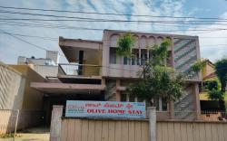 Olive Home Stay