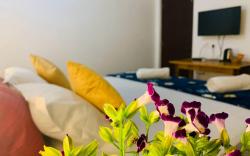 The Bodhi Tree Resort
