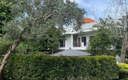 New W Guest House