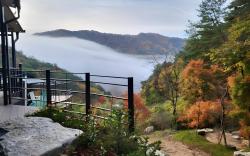 Daon Forest Pension