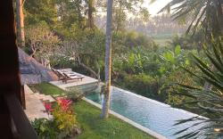 Stunning private Villa - sunset across rice fields