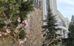 Iris Hotel & Spa
