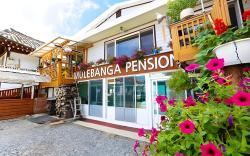 Anteo BNB