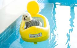 Mungs Club Pet friendly Pool Villa