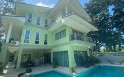 Green orchid home 
