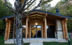 კოტეჯები საგურამოში buriani resort