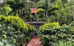 Swapna Estate Stay Coorg