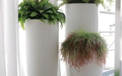 Home Inn Plus Beijing Tuanjiehu Agricultural Exhibition Changhong Bridge