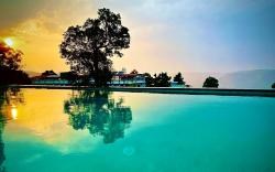 Lotus Farms Resort - Pure Veg