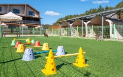 Gangneung NineOne Pet Pension