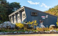 Gangneung NineOne Pet Pension