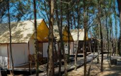 Camping Vivu24h - Hồ Cốc