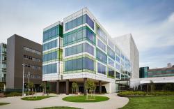 The Larwill Studio Melbourne - Art Series