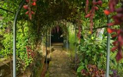 Hobbit House, Silver Oaks Nature Retreat