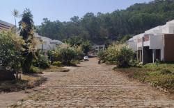 Eco Village - No Alcohol Zone
