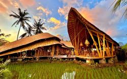 Green Lander Ubud