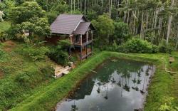 Casta Wild Resort