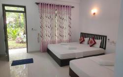 Nature bird paradise hotel 