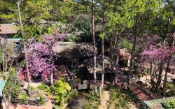 Little Garden Homestay 