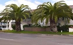 SureStay Plus by Best Western Santa Clara Silicon Valley