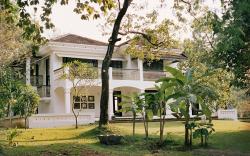 The Postcard Velha