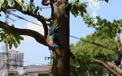 Accommodation Honjin Lexia