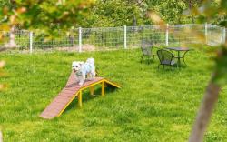 Yangyang Monti Pet Spa Pension