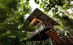 cave valley wayanad 