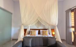 RANA SUITE