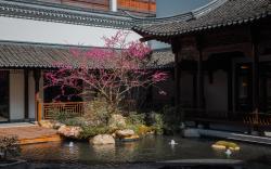 Puyuan Fashionable Ancient Town Pujin Hotel