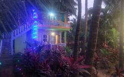 ARECA NEST