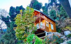 woodland treehouse jibhi