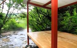 Wonju Sarichi Land in Forest Pension