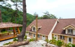 Wonju Sarichi Land in Forest Pension