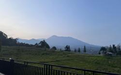 Ardilla 