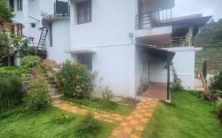 Leaf colour homestays 