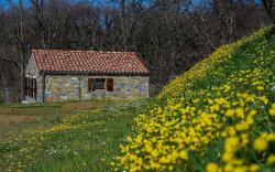 Holiday HOME Kažeta Ankaran 