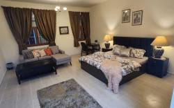 Spacious Studio Apartment