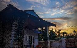 Hippla Homestay
