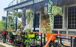 "Freedom Villa, Luxurious, cosy, 2 Br, AC, Wi-Fi