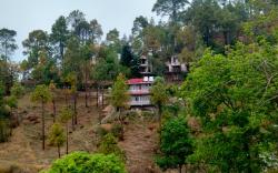 StoneFruit Homestay: 5BR in Chail