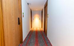 Hotel Sing 65
