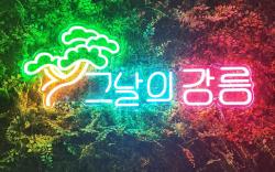 [Gangwon Gangneung] Quiet Rest Two-Room Detached House - Barbecue, Fire Pit, Pet-Friendly